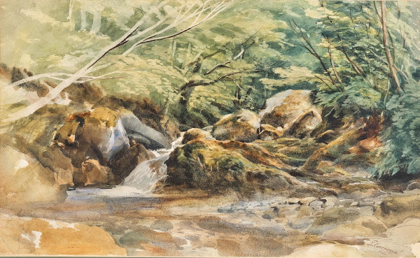 A Torrent And Shrubs Study 1899