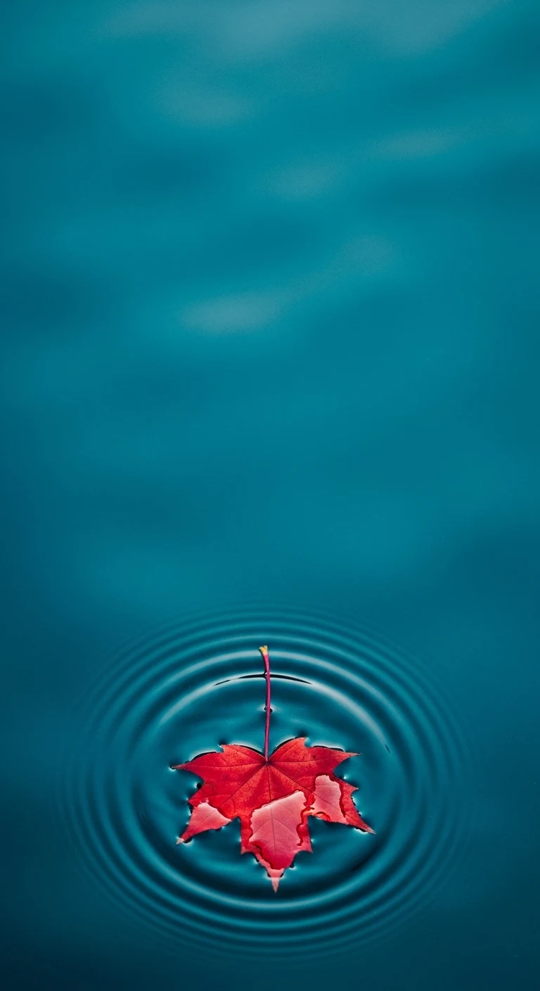 Red Maple Leaf on Deep Blue Rippling Water - Free 4K mobile Wallpaper