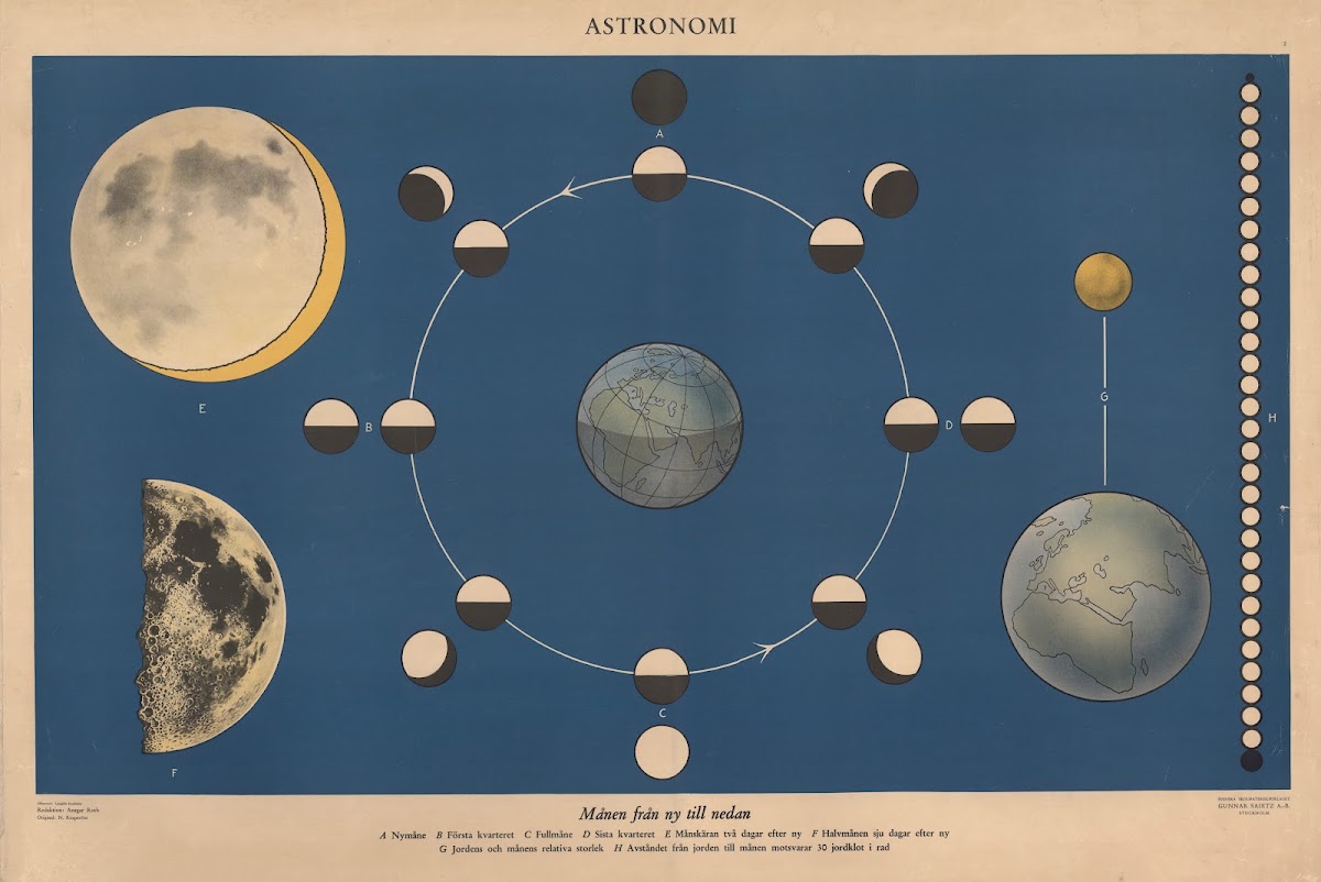 The moon from new to full 1950