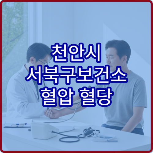 천안시 서북구보건소 혈압 혈당 무료 검사 가능한지 건강 측정 서비스