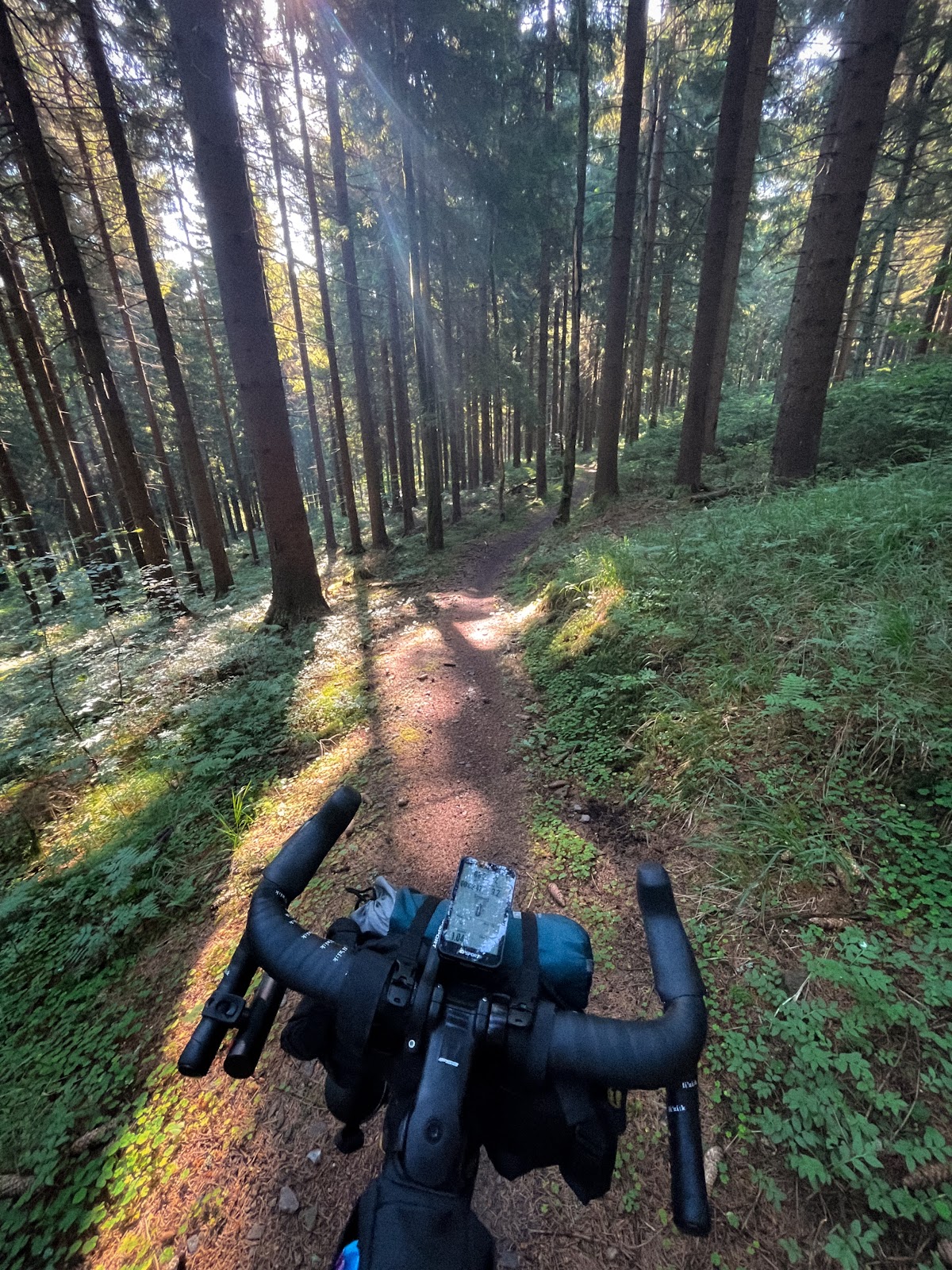 Ranní singletrail lesem