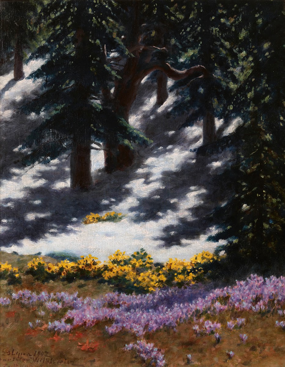 Crocuses and Marsh Marigolds 1907