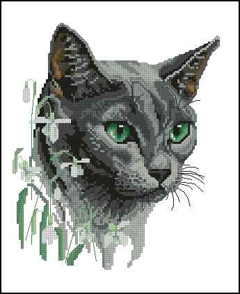 CMP 400787 Green Eyed Cat