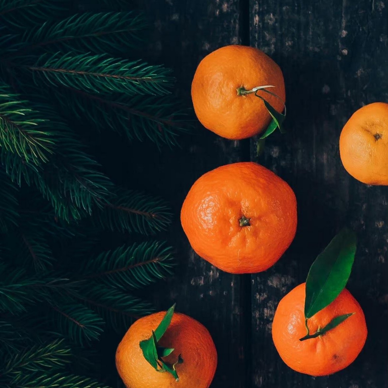 Download Christmas Decor, Tangerines, Winter Fruit, Holiday Season Full HD iPhone
