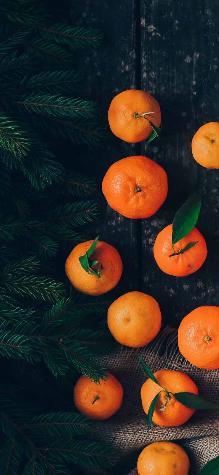 Christmas Decor, Tangerines, Winter Fruit, Holiday Season Full HD iPhone Wallpaper Background (1170x2532)