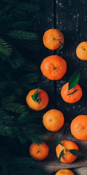 Christmas Decor, Tangerines, Winter Fruit, Holiday Season Full HD iPhone Wallpaper Background