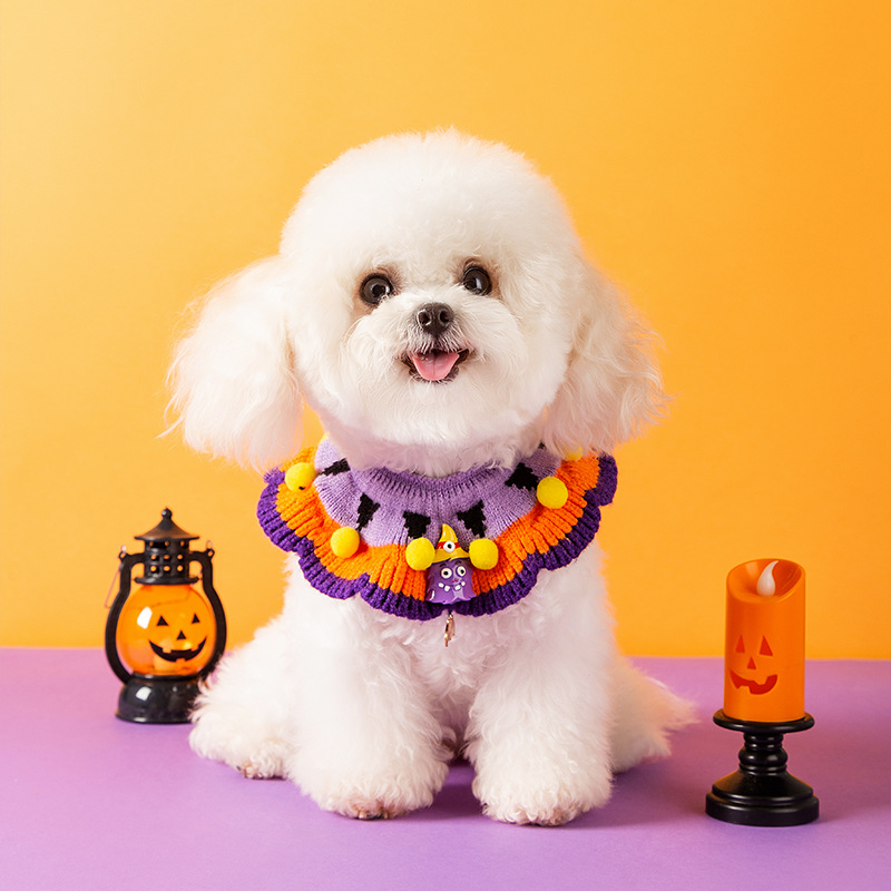 Halloween pumpkin pattern collar for dogs