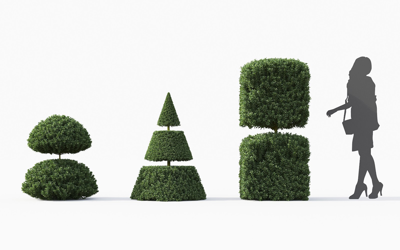 Maxtree - Plant Models Vol.28