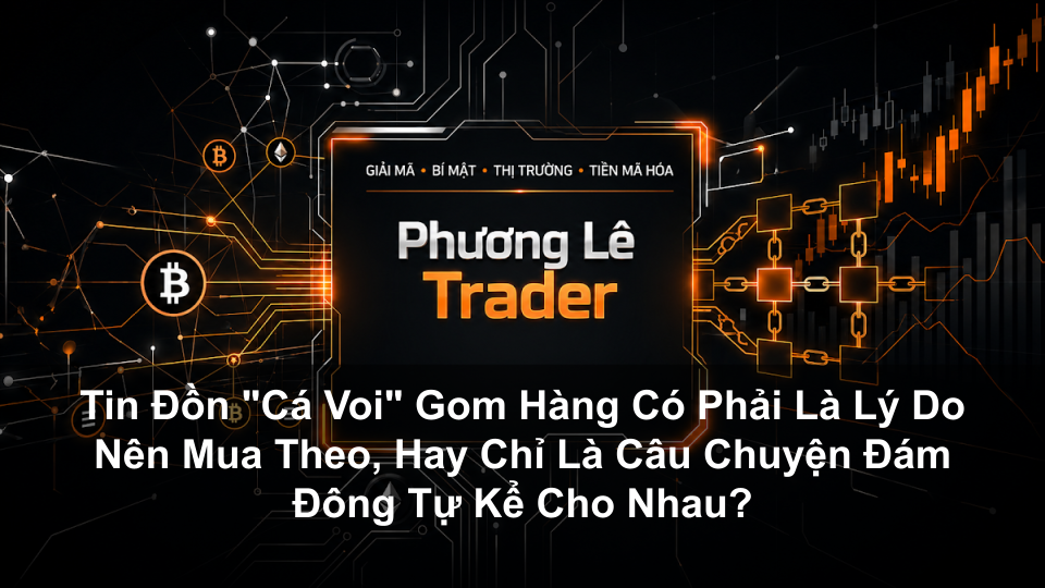 Tin Đồn "Cá Voi" Gom Hàng Có Phải Là Lý Do Nên Mua Theo, Hay Chỉ Là Câu Chuyện Đám Đông Tự Kể Cho Nhau?