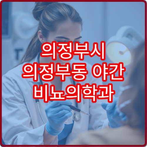 의정부시 의정부동 야간 비뇨의학과 배뇨통 잔뇨감 진료 병원 정보