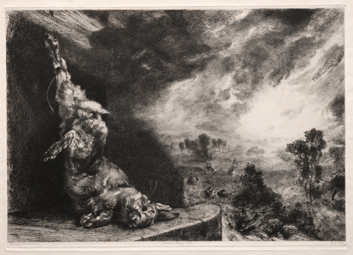 The Large Rabbit 1891