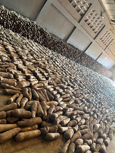 Yam drying