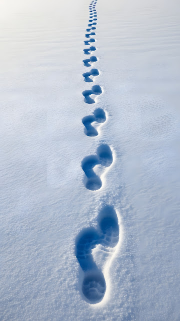 Footprints in Deep Snow Leading into the Distance - Free mobile Wallpaper