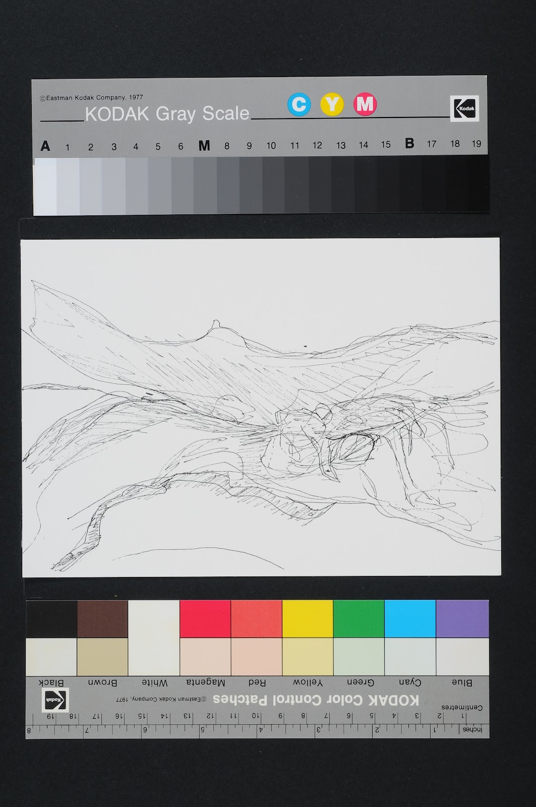 Drawn Poems