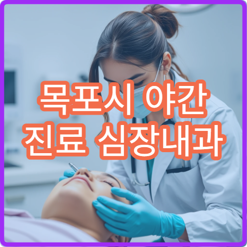 목포시 야간 진료 심장내과 병원 가슴통증·심장검사 가능한 병원 찾기