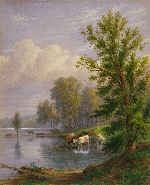 Untitled 1874
