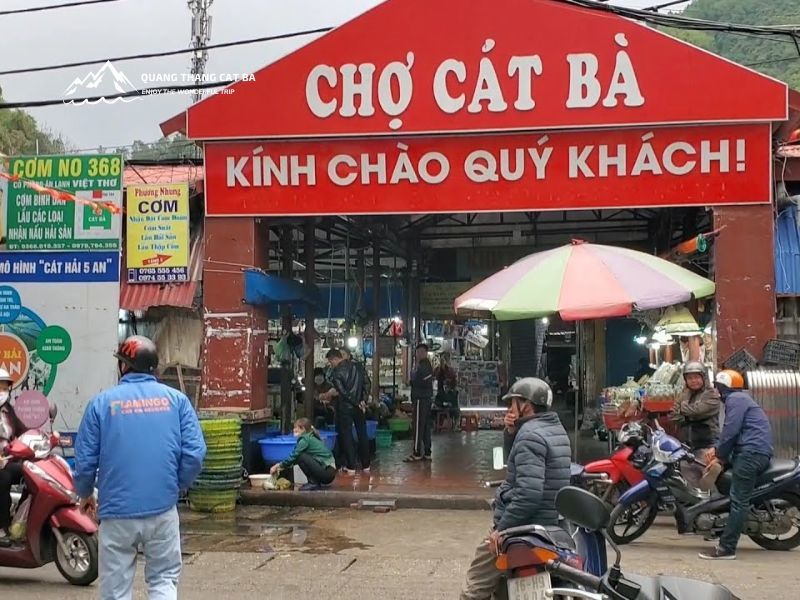 Cong cho cat ba