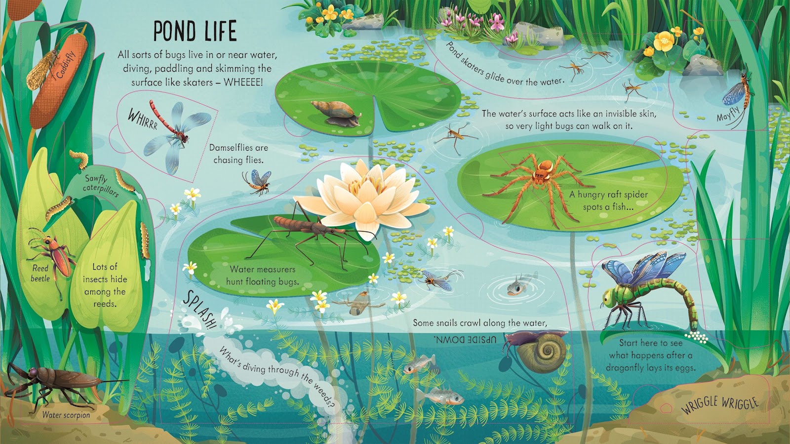 Look Inside Bug World - thumbnail 2