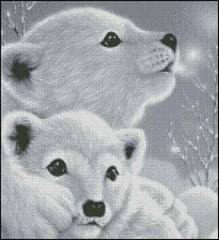 CMP 400333 White Pussies