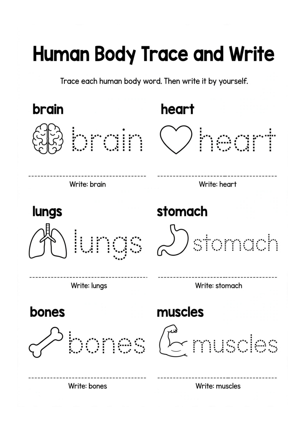 Human Body Trace and Write