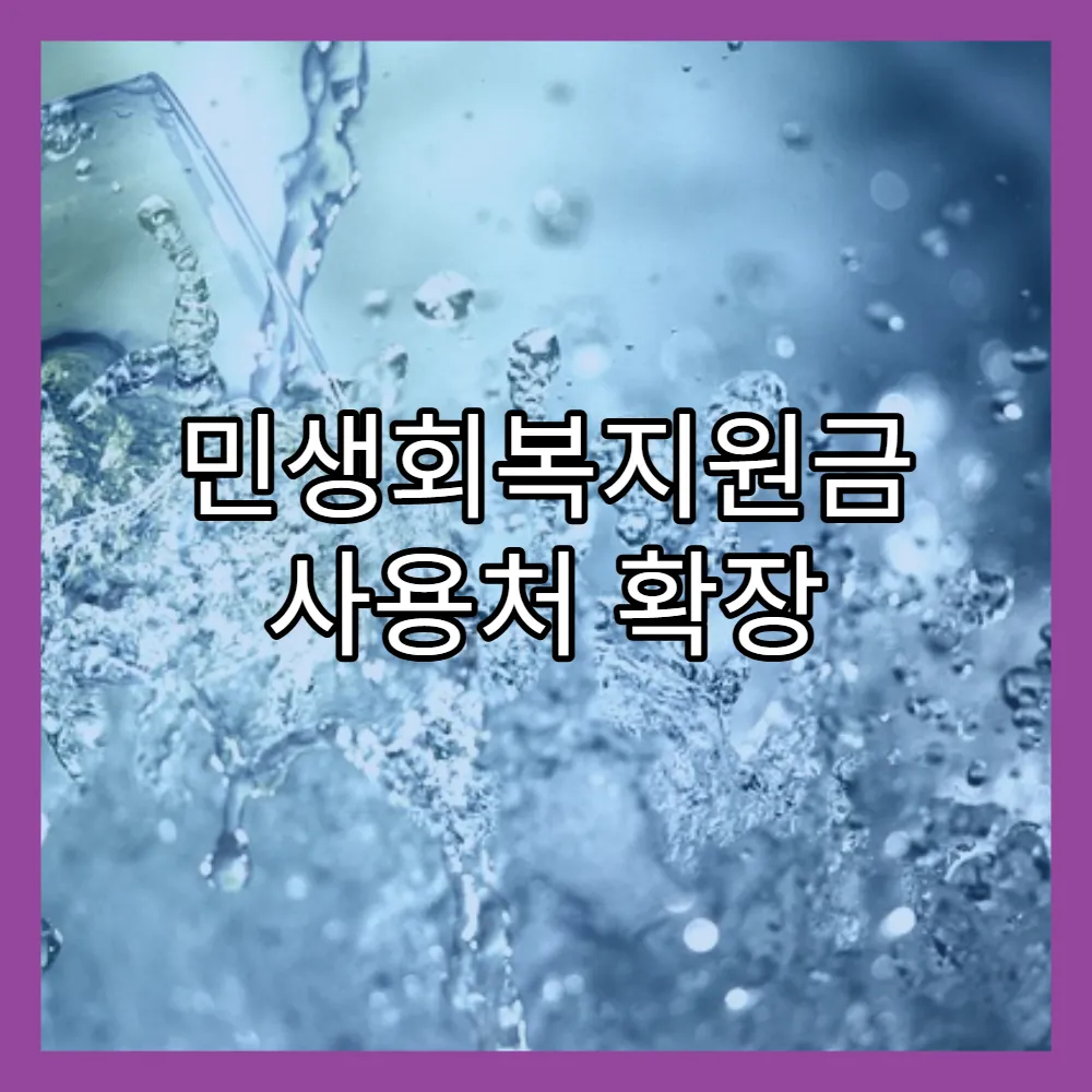 민생회복지원금 사용처 확장 방법(+카카오택시, 버스)