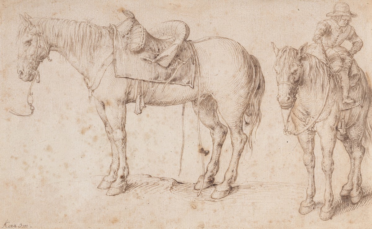 Study of a bean plant ca 1602
