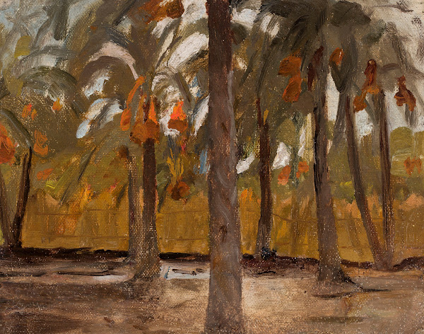 Egyptian palm forest From the journey to Egypt 1903