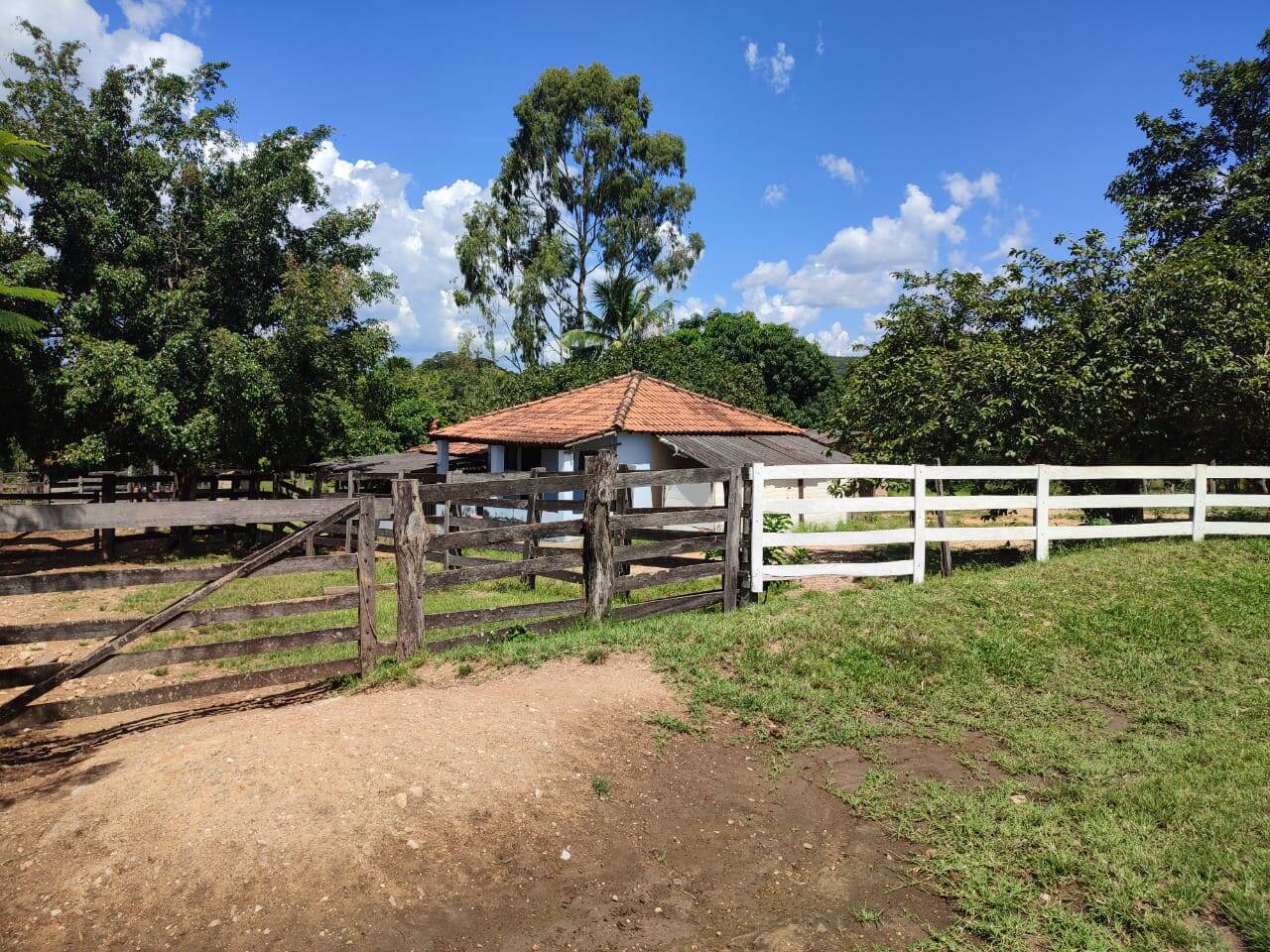 Fazenda em Uruana-GO 6