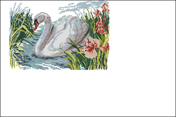 CMP 360022 White Swan