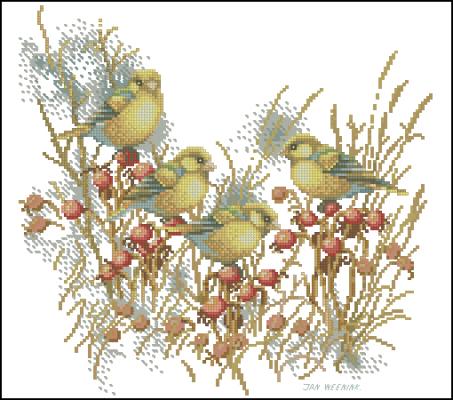 CMP 360063 Four Birds