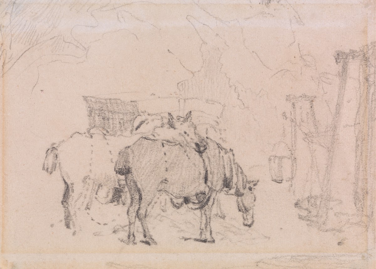 Two Horses