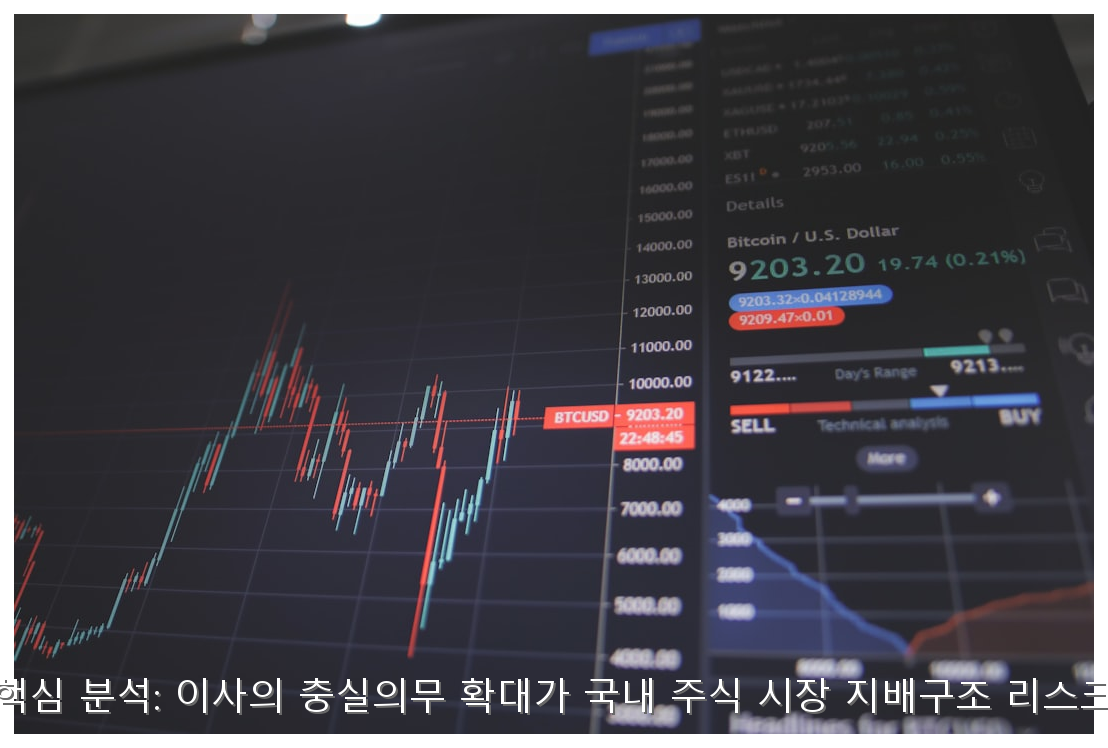 K-상법 개정안 핵심 분석: 이사의 충실의무 확대가 국내 주식 시장 지배구조 리스크에 미치는 영향 핵심 안내 및 분석 인포그래픽 (2)