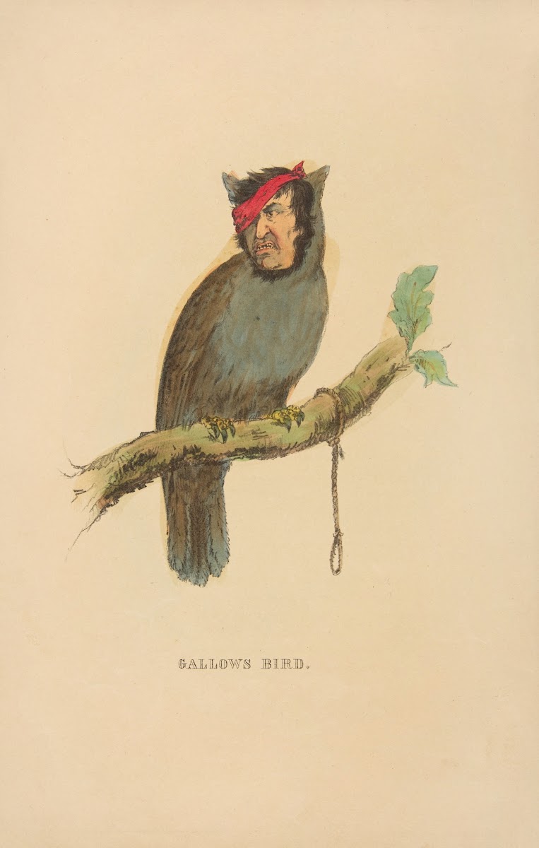 Gallows Bird 1851