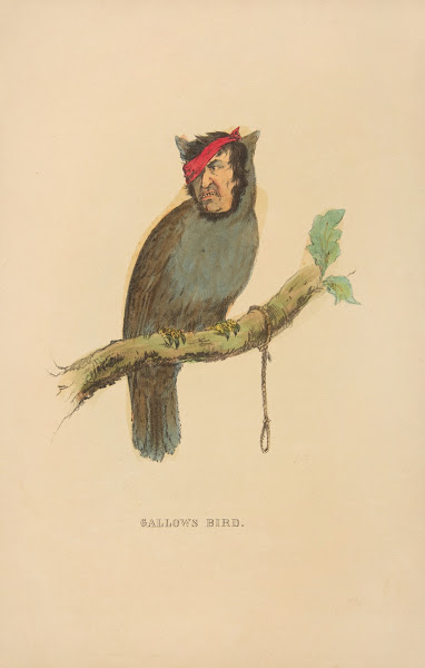 Gallows Bird 1851