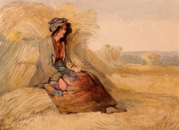 A Young Woman Resting in a Cornfield