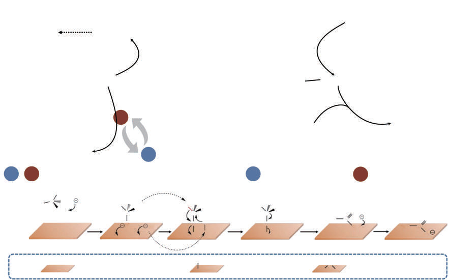 A review of carbon-based catalysts and catalyst supports for simultaneous organic electro-oxidation and hydrogen evolution reactions