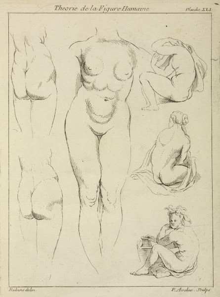 Studies of the female torso buttocks and seated figures dorsal view