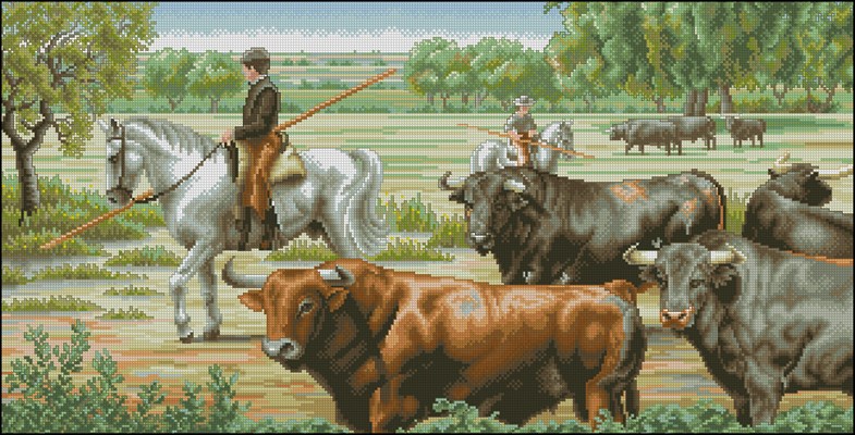 CMP 401051 Pattern