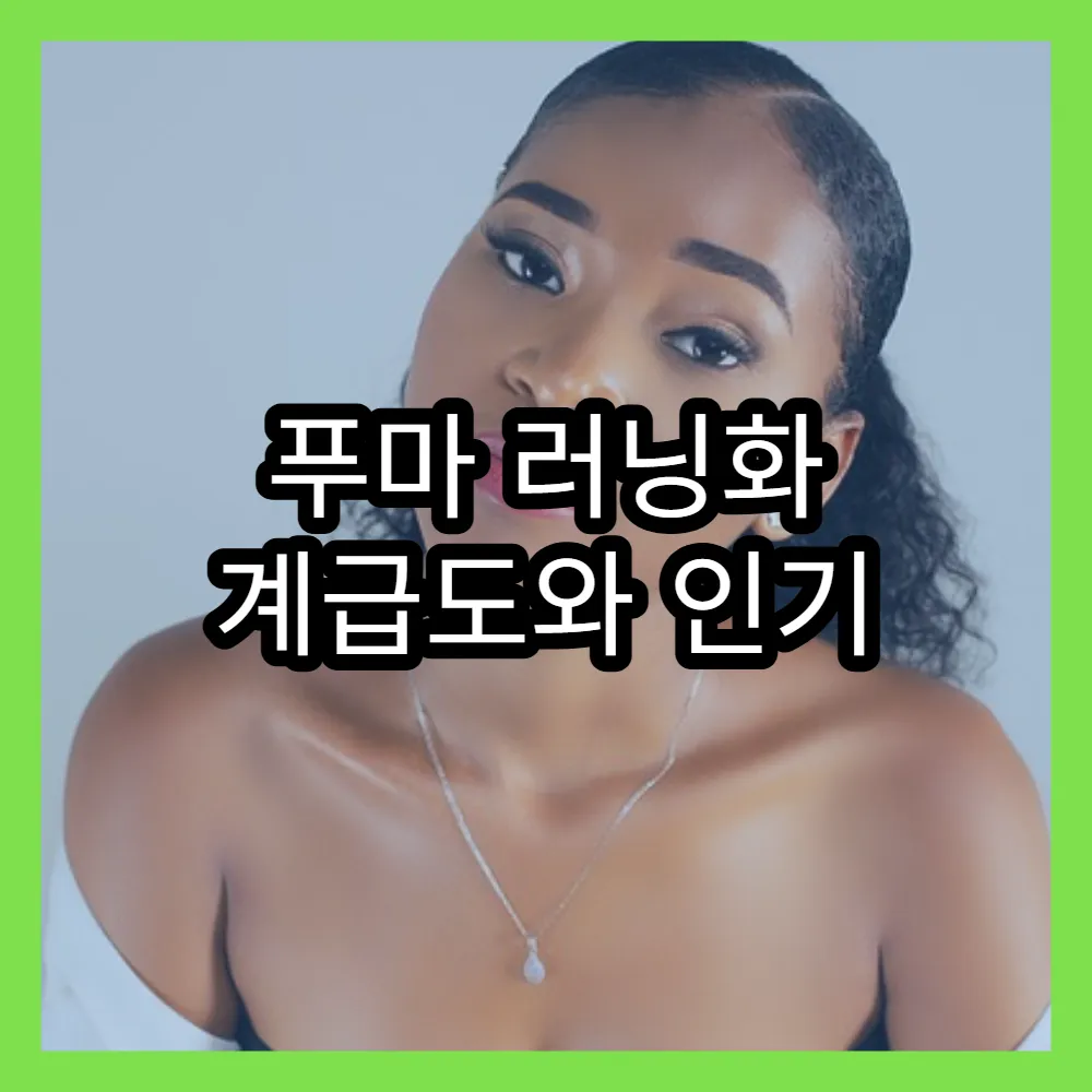 푸마 러닝화 계급도와 인기 모델 정보