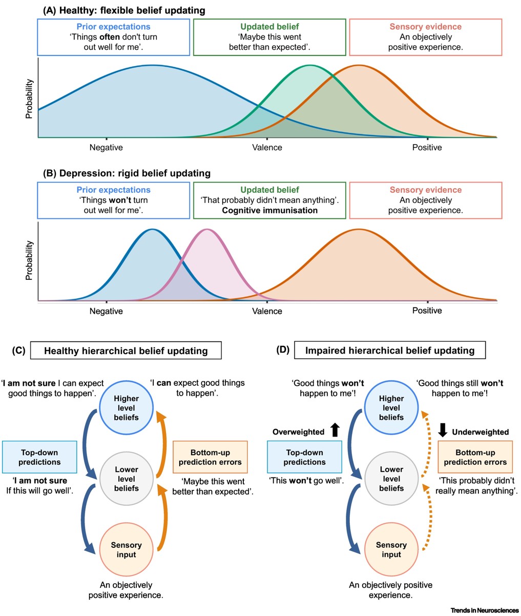Brain rhythms of depression: A predictive processing perspective
