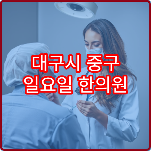 대구시 중구 일요일 한의원 진료 가능한 병원을 정리한 직장인용 안내