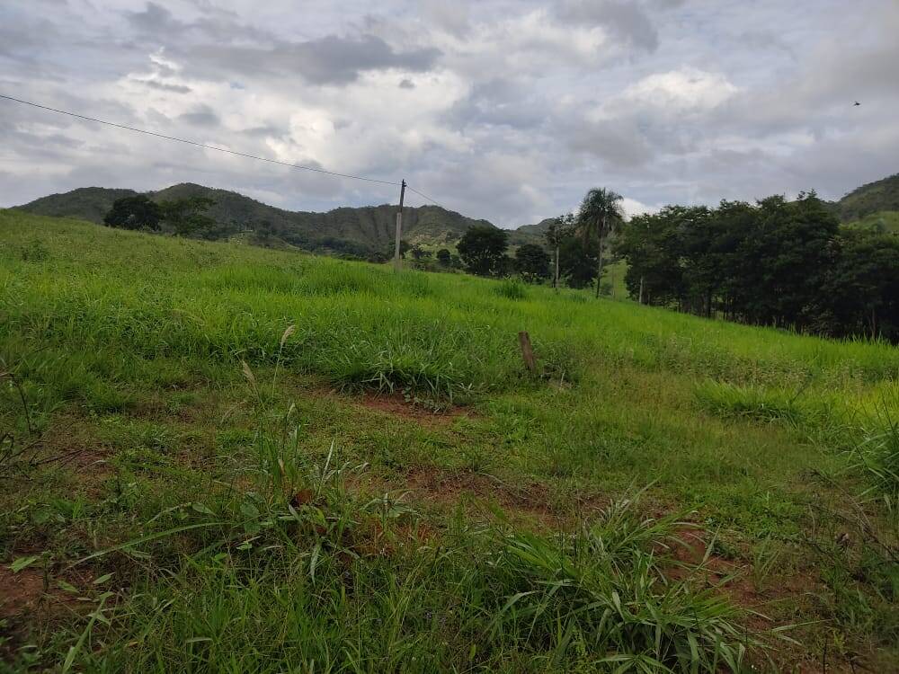 Fazenda no Município de Niquelândia - GO 10