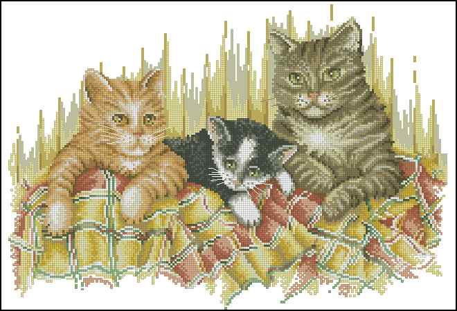 CMP 400594 Fluffy Triplets