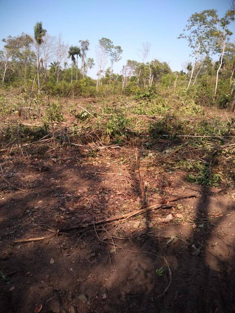 Fazenda em São Félix do Araguaia-MT 5