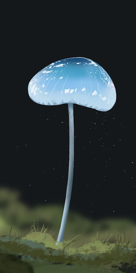 Mushroom, Fungi, Illustration, Nature 4K Phone Wallpaper