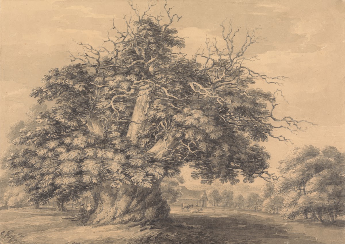 The Chestnut Tree at Little Wymondley Hertfordshire