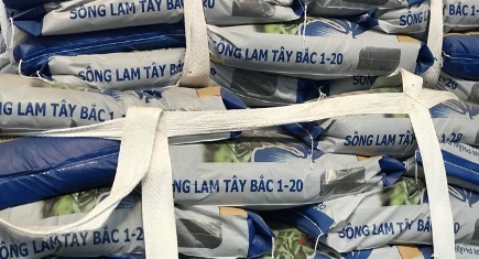 Đoàn cán bộ, giảng viên, sinh viên Trường Đại học Tây Bắc đi thực tế tại Công ty Cổ phần phân bón Sông Lam Tây Bắc