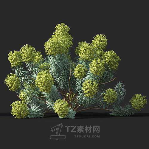 Maxtree - Plant Models Vol.60