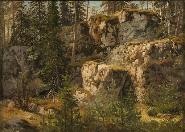 Stony Forest 1853