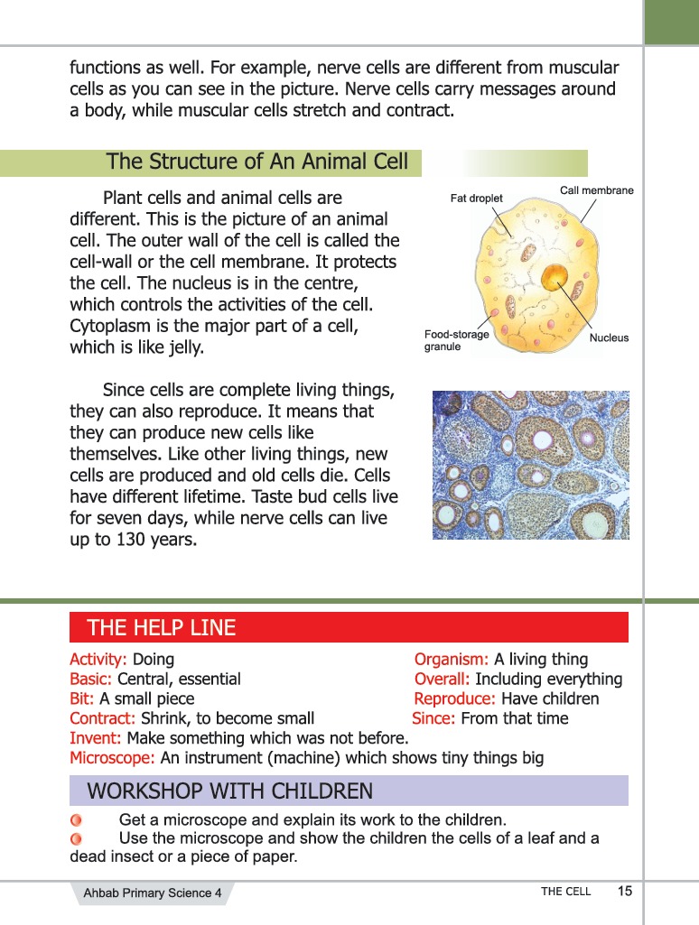 Science Book 4